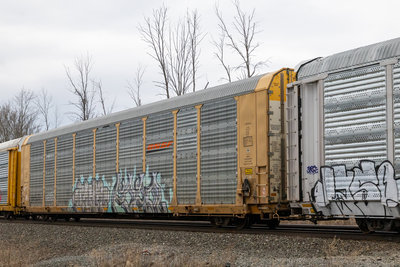 TTGX 967159