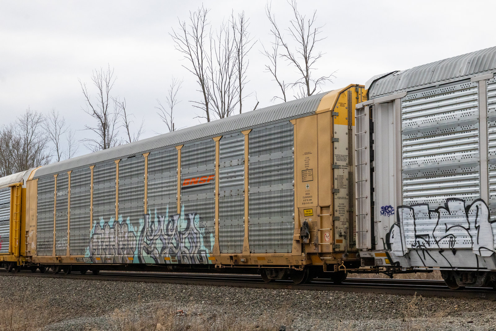 TTGX 967159