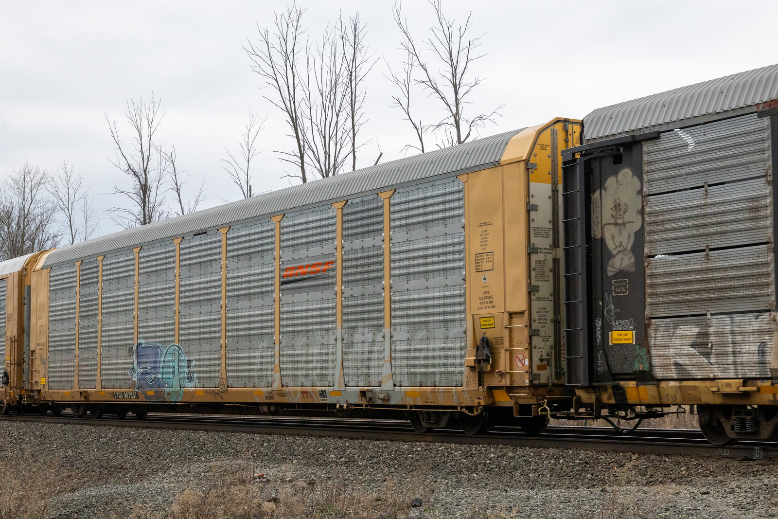 TTGX 967057