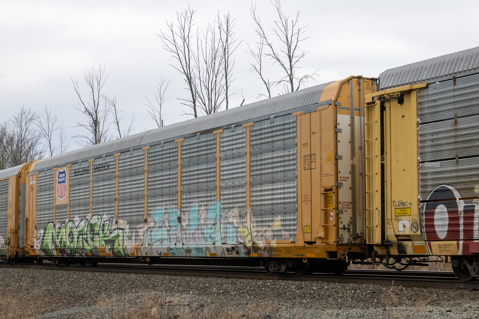 TTGX 715116