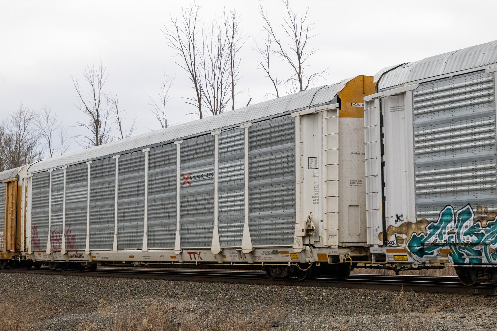 TTGX 707733
