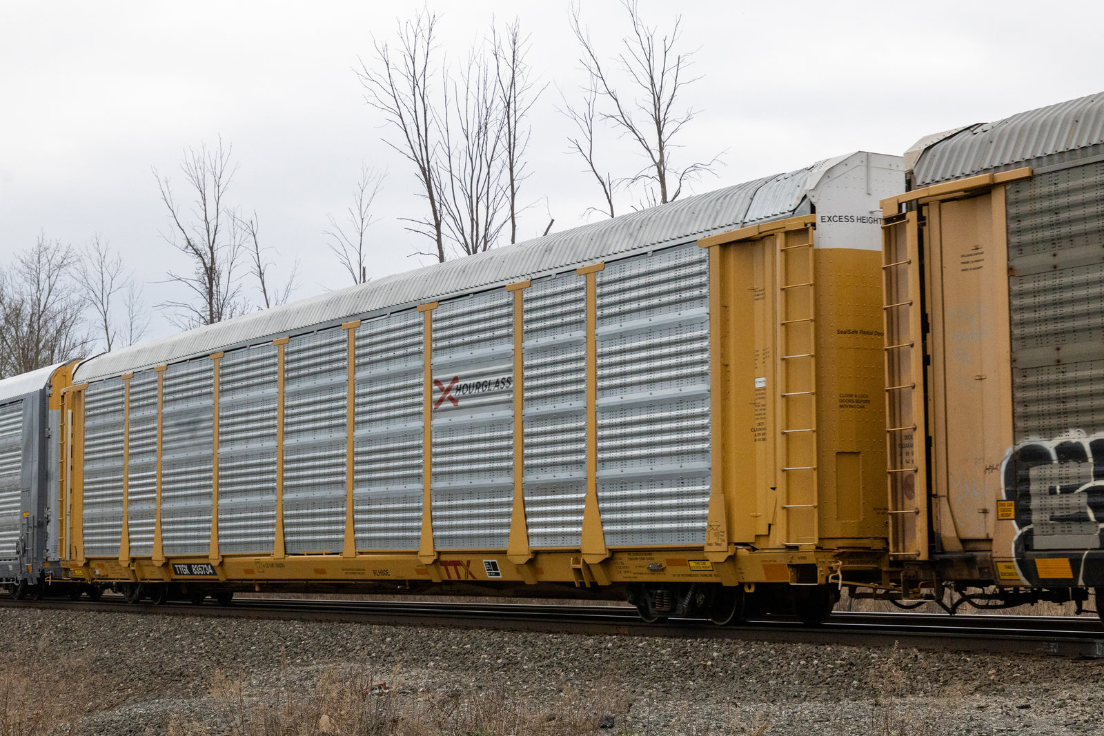TTGX 835734