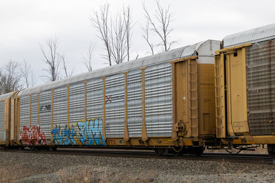 TTGX 708396
