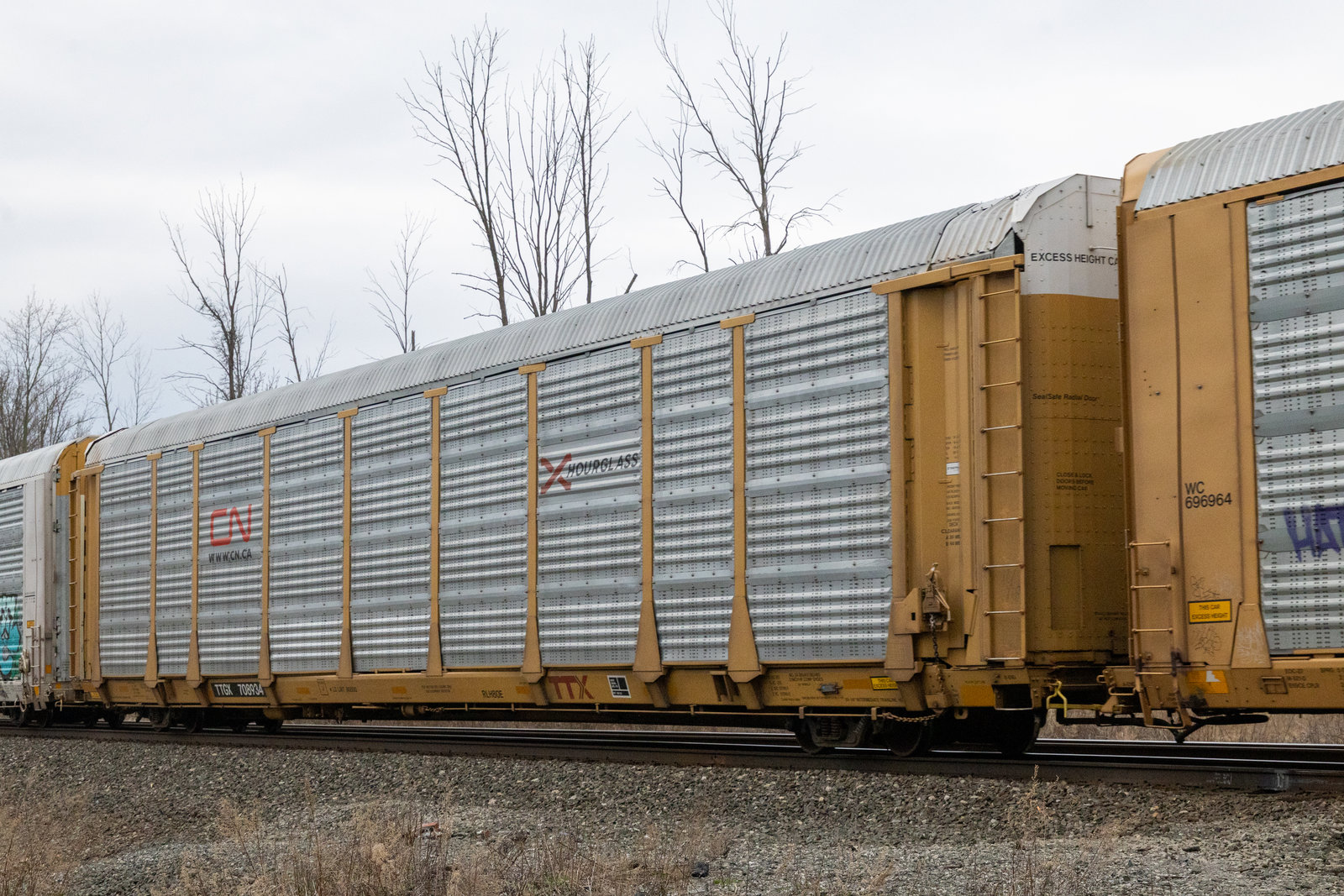 TTGX 708934