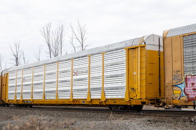 TTGX 835343