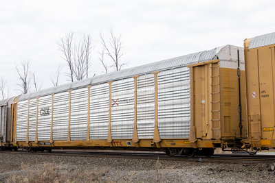 TTGX 709344