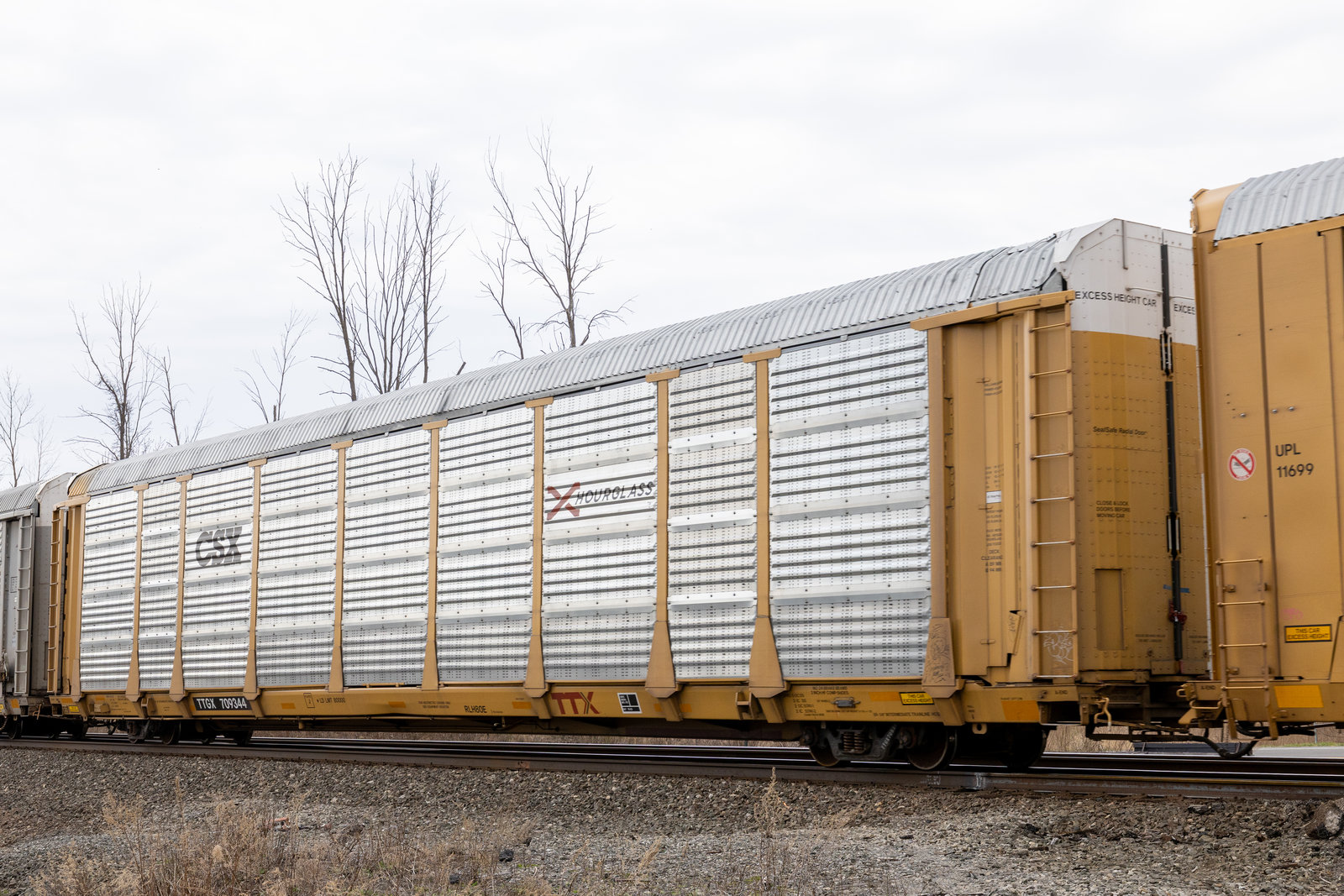 TTGX 709344