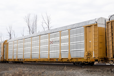 TTGX 835767