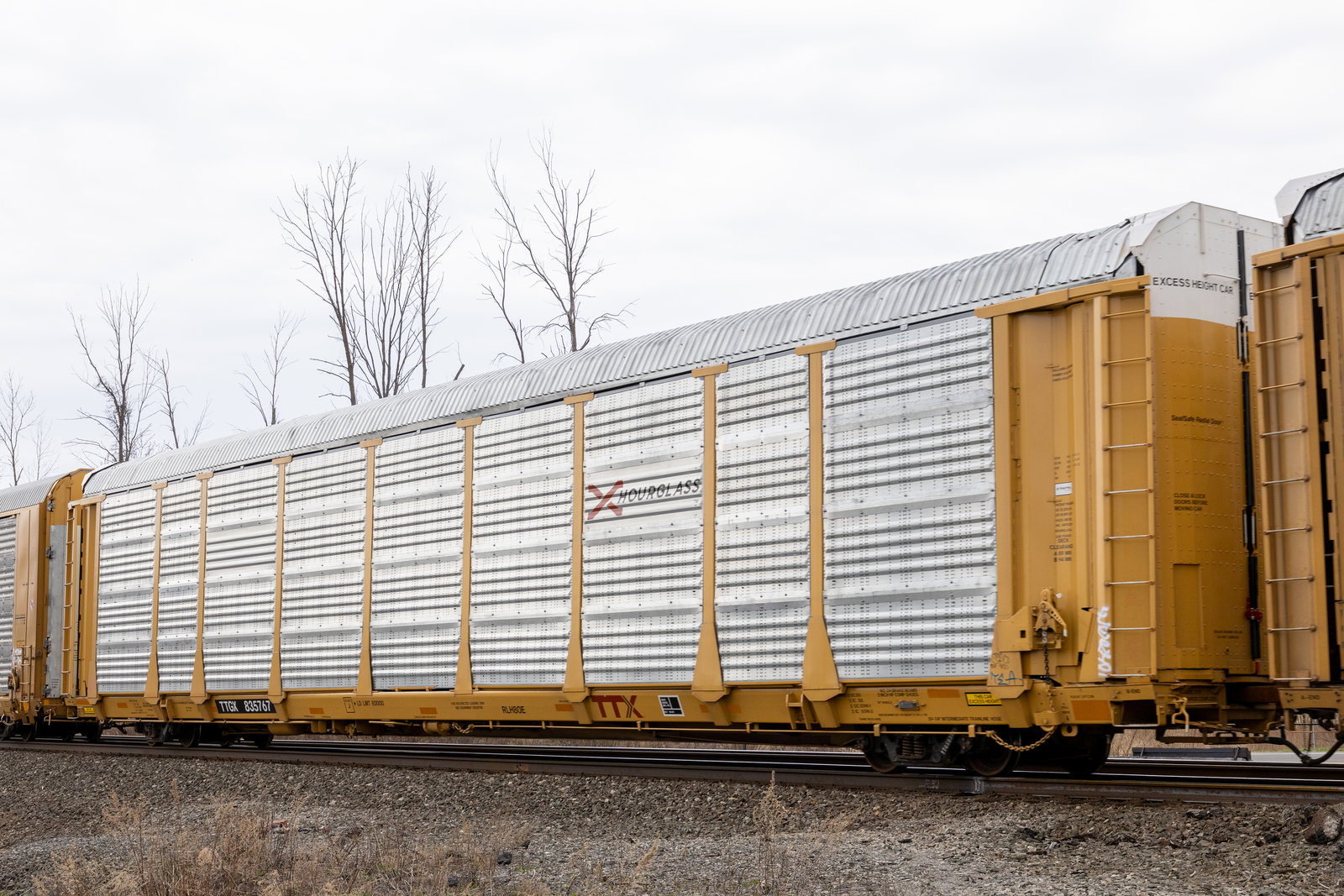 TTGX 835767