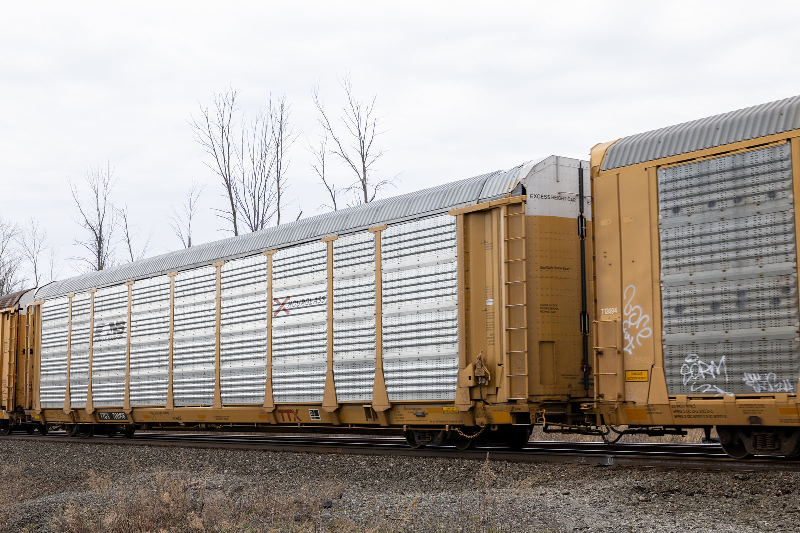TTGX 708198