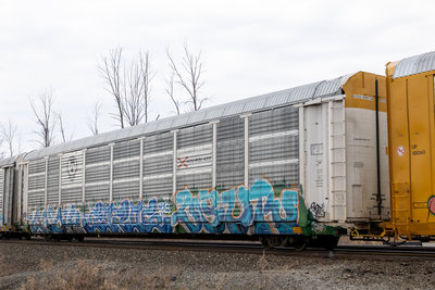 TTGX 707654