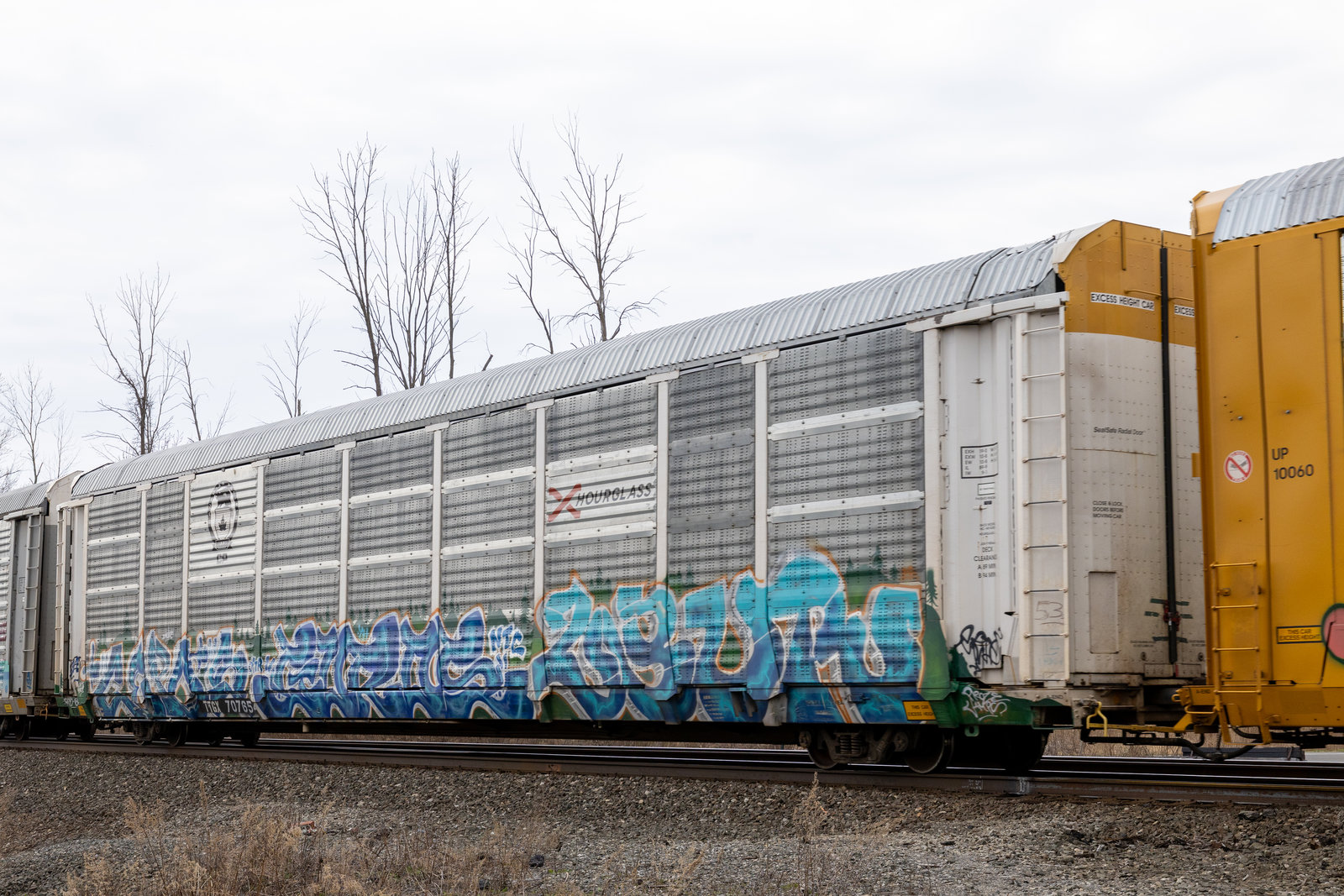 TTGX 707654