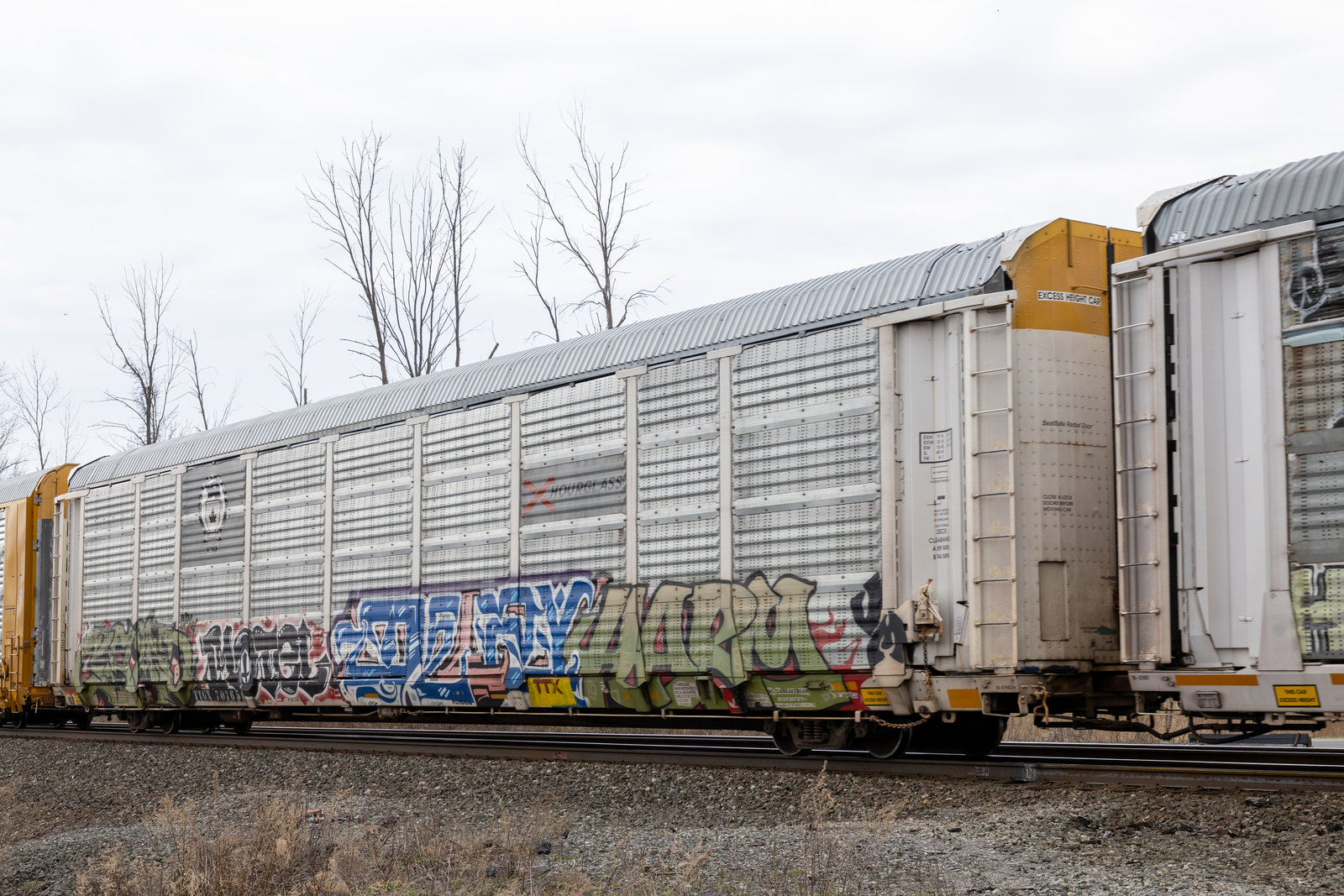 TTGX 707650