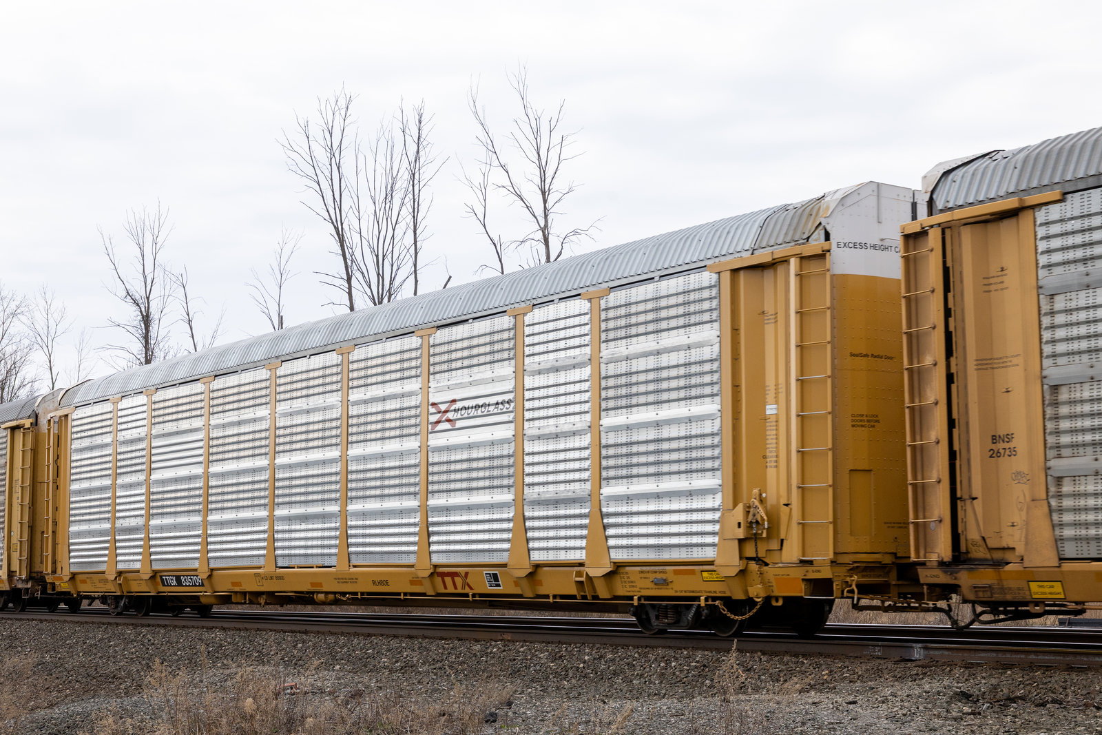 TTGX 835709