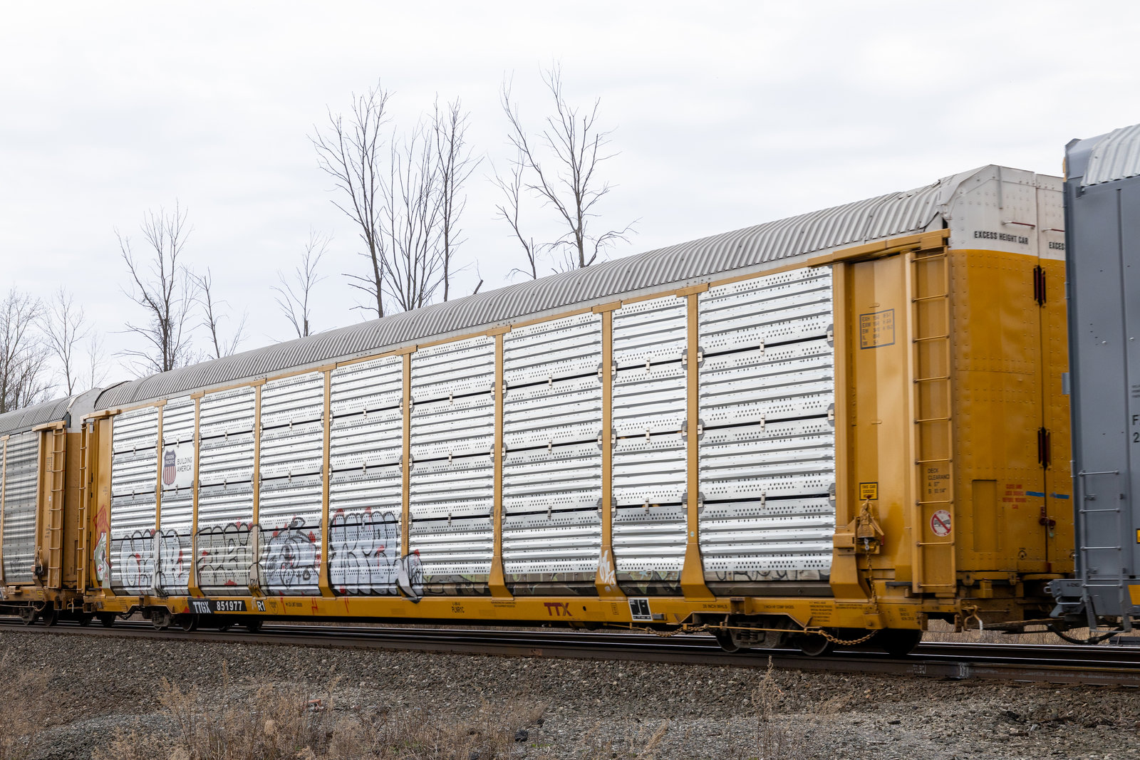 TTGX 851977