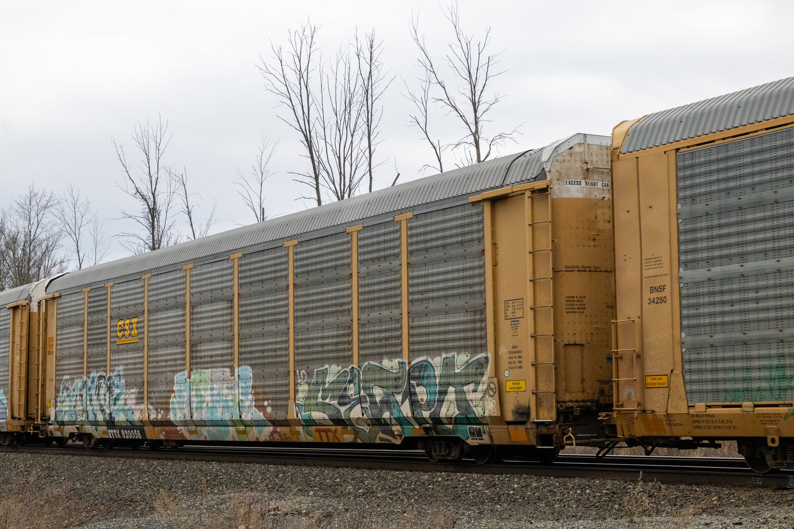 ETTX 820058