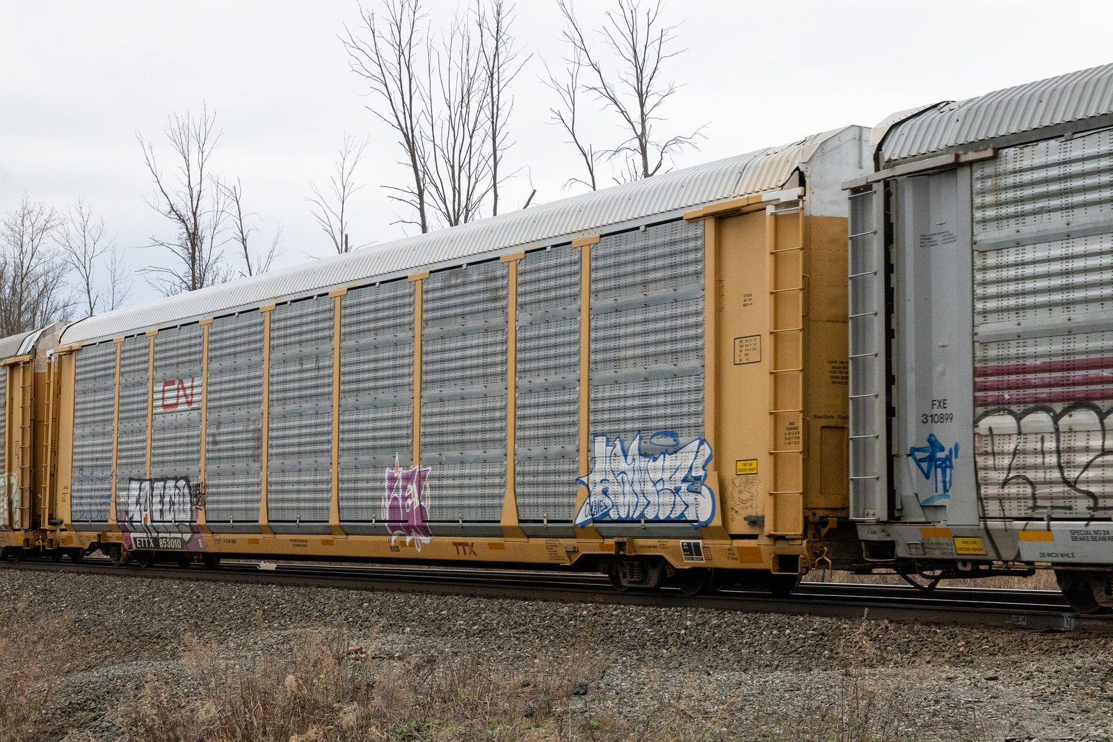 ETTX 853010