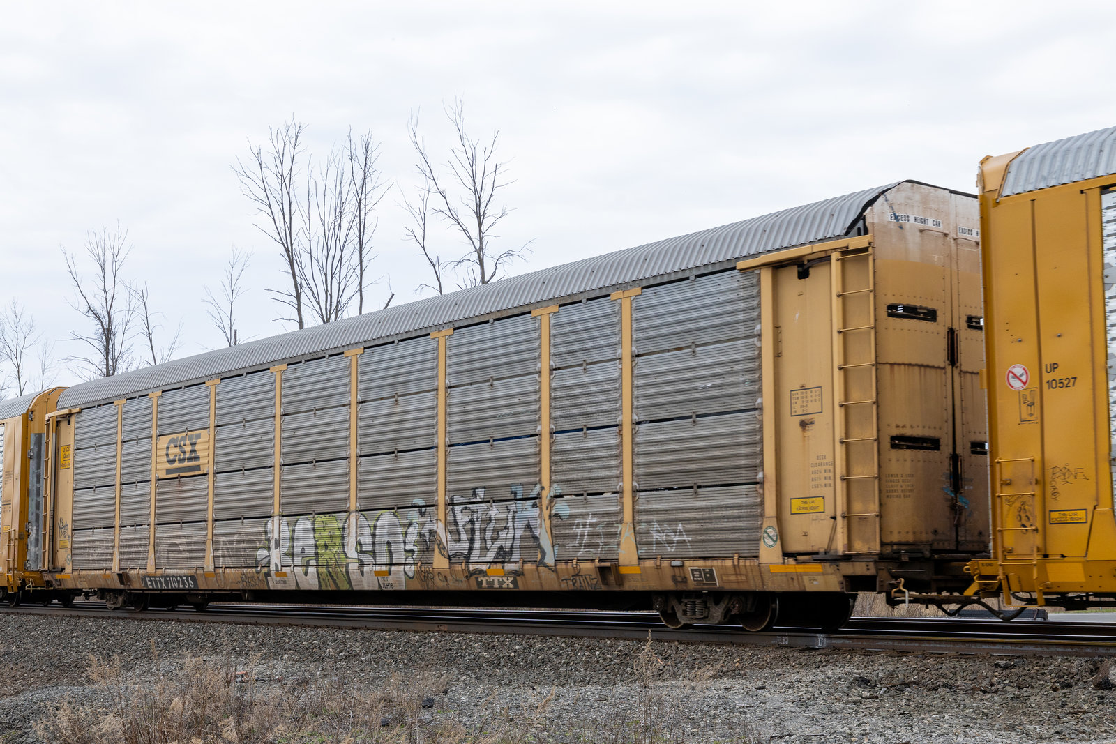 ETTX 710236