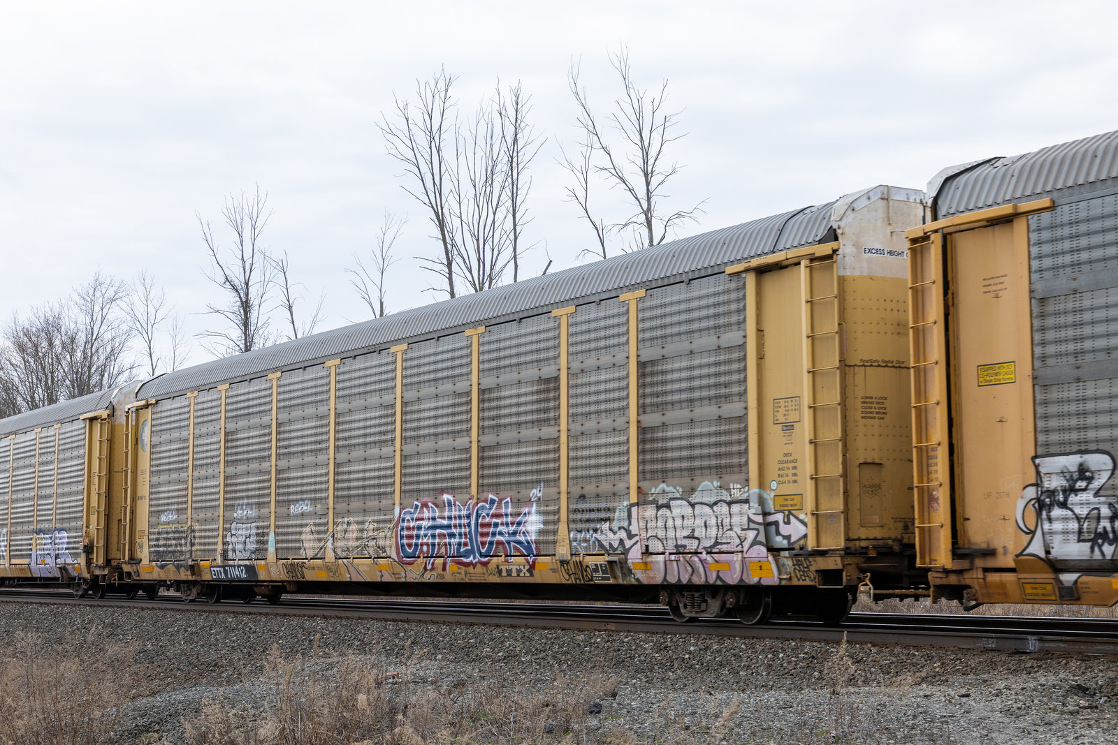 ETTX 711412