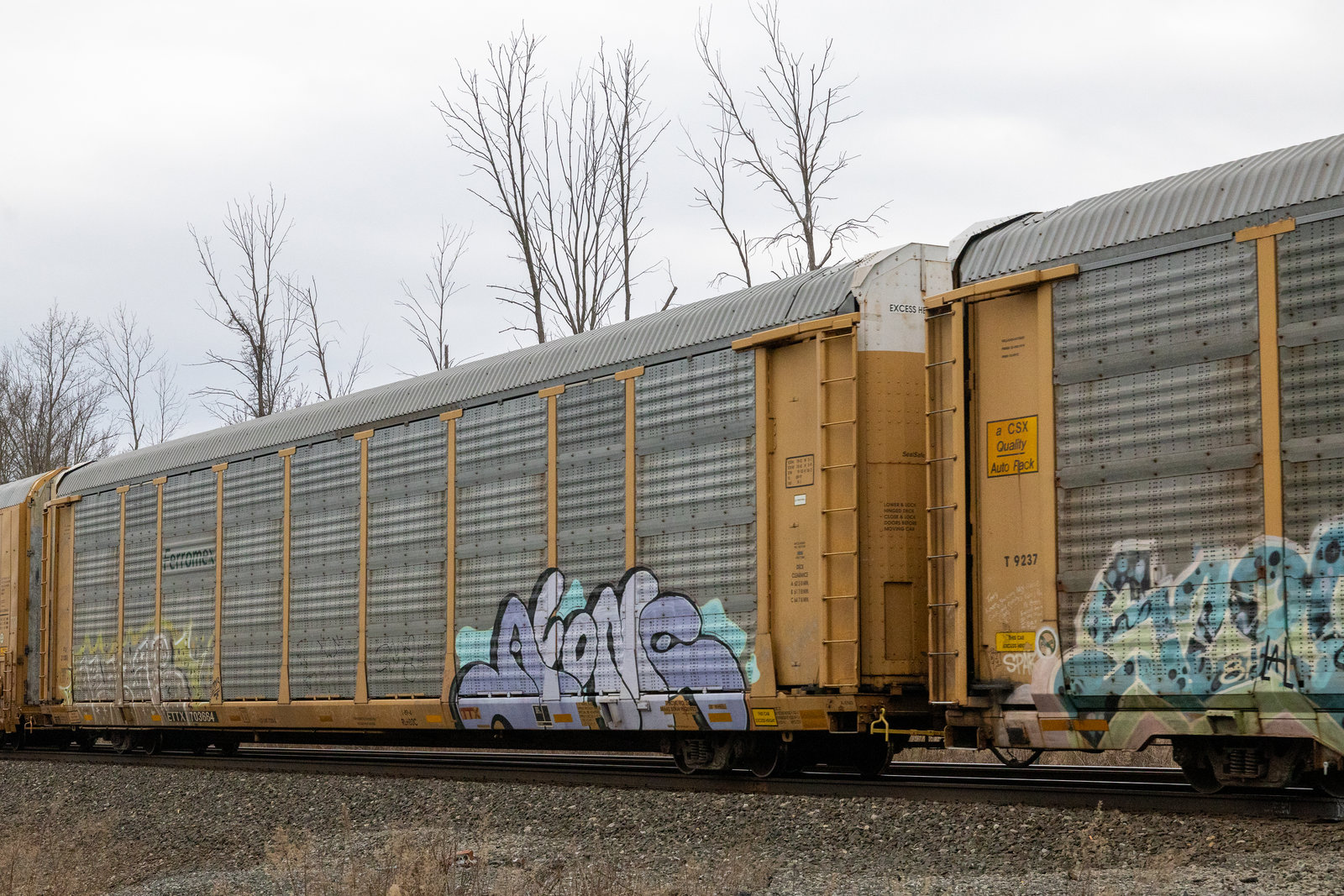ETTX 703664
