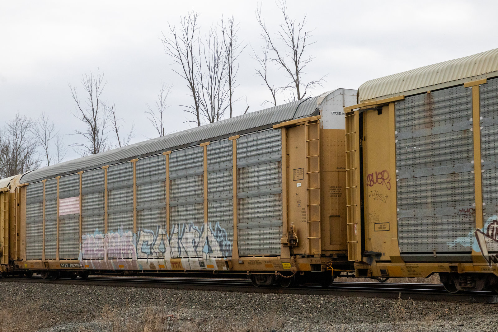 ETTX 703210