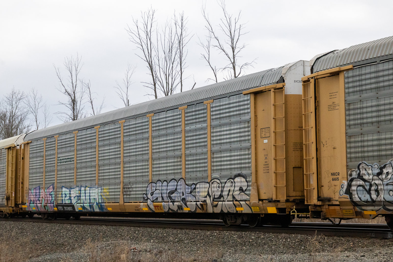 ETTX 703693
