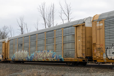 ETTX 703516