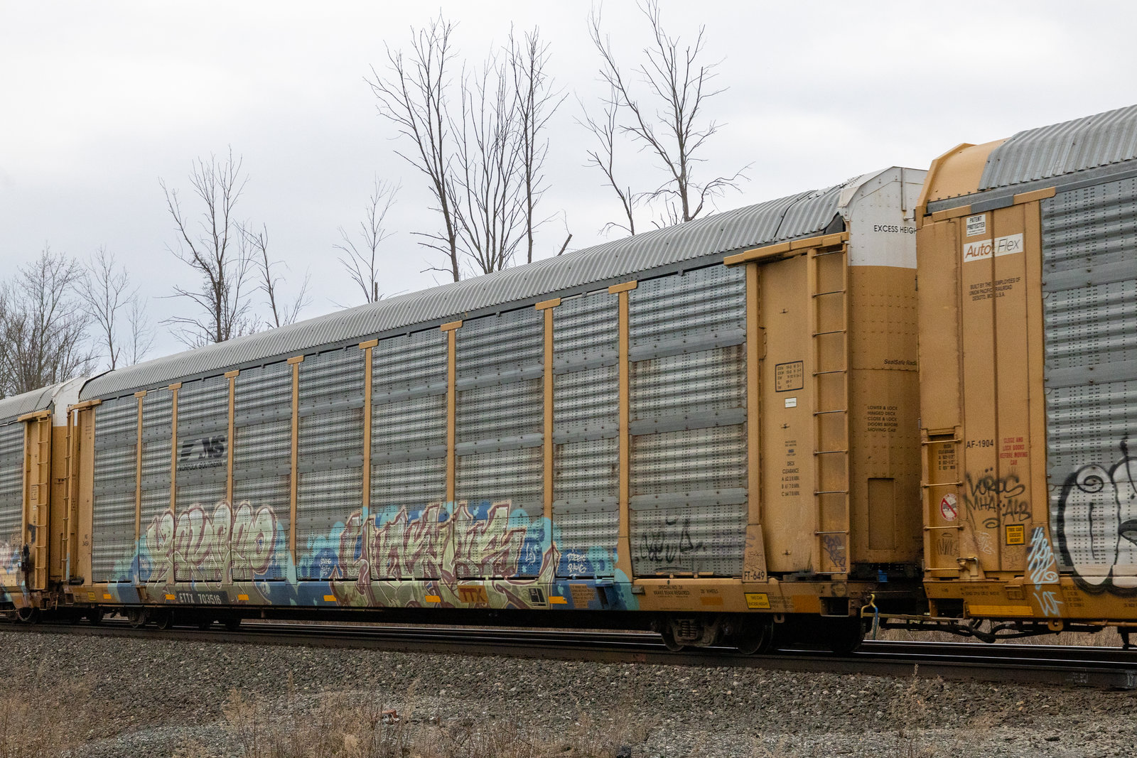 ETTX 703516