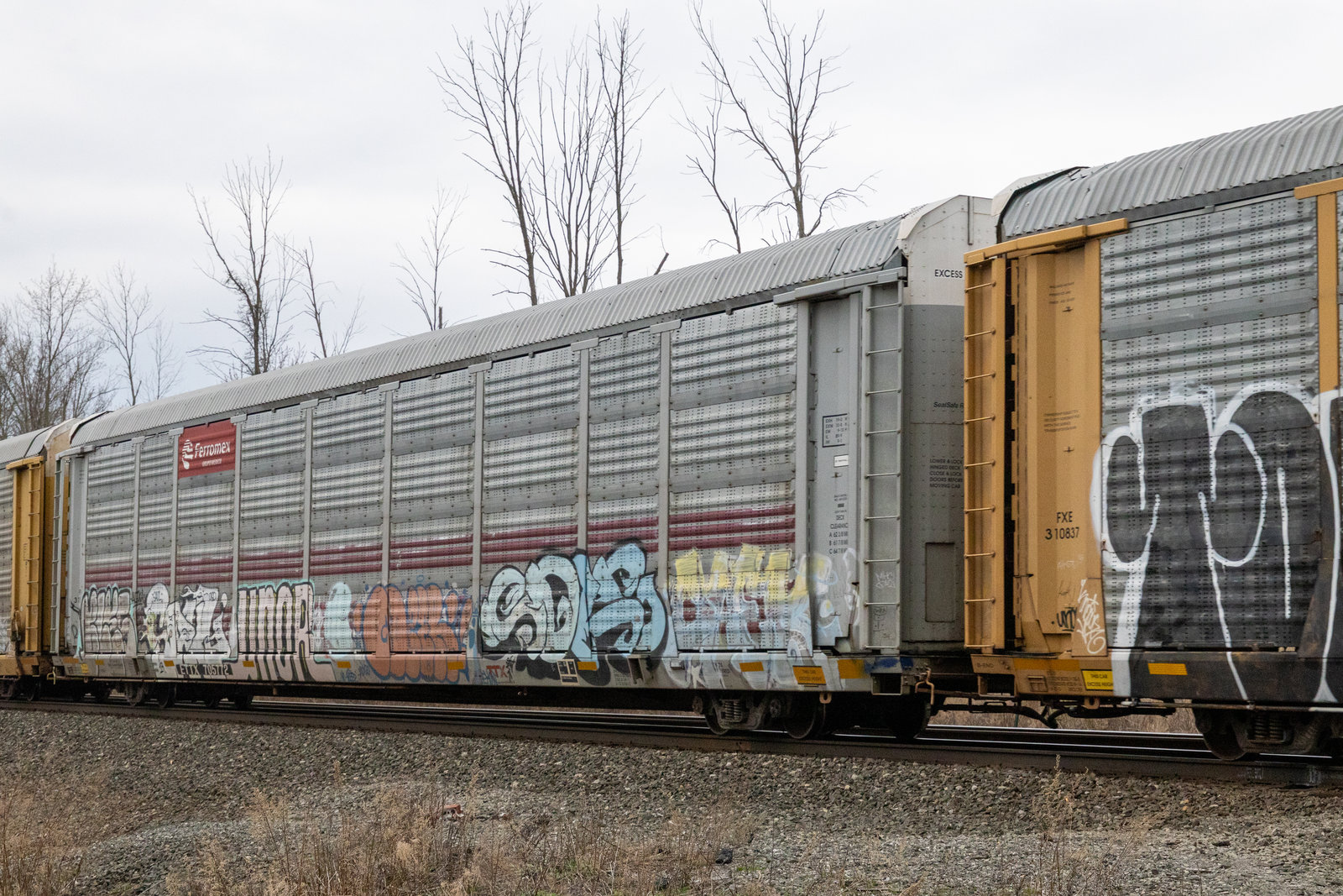 ETTX 705772