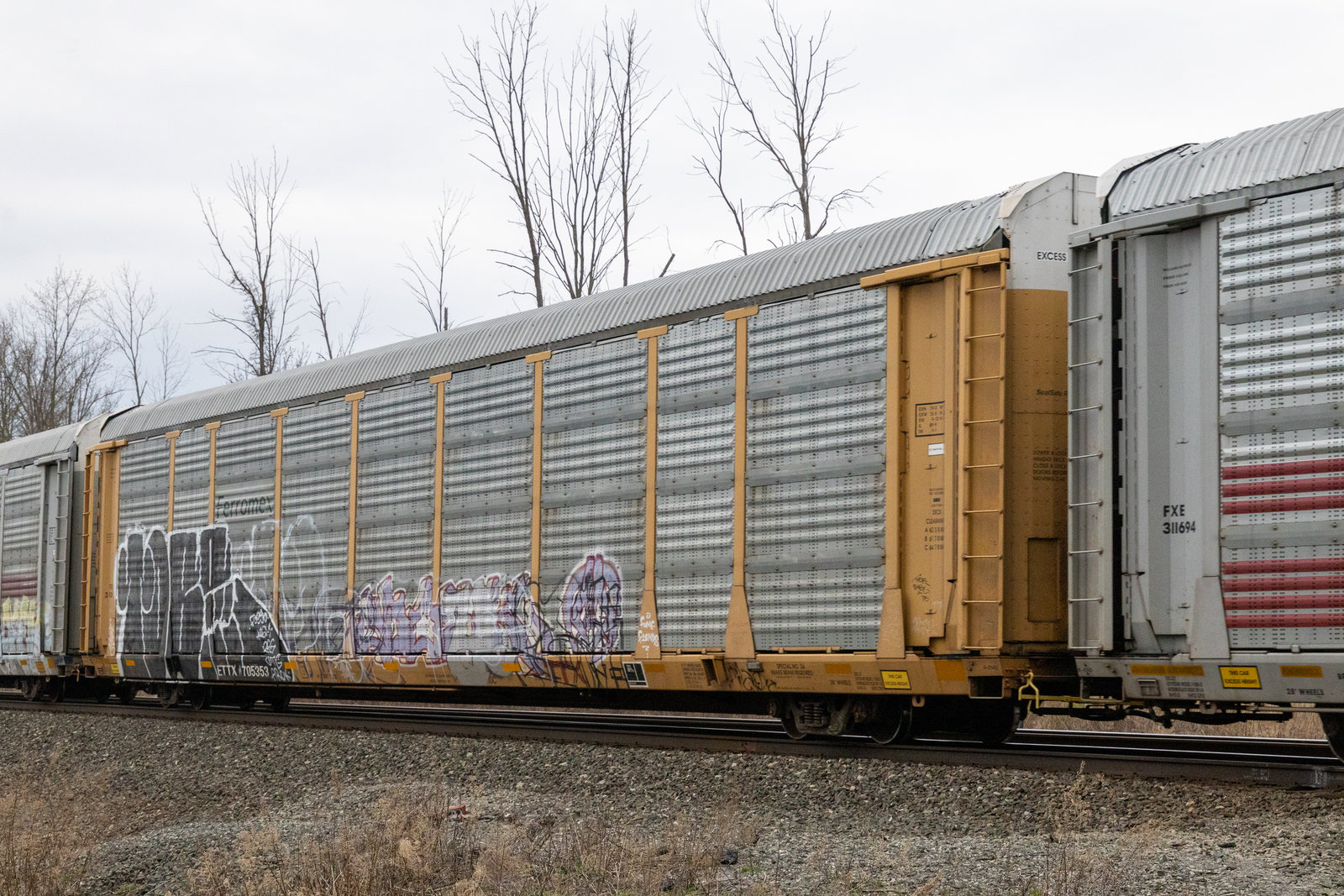 ETTX 705353