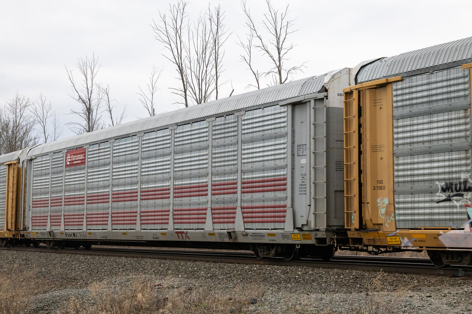 ETTX 706355