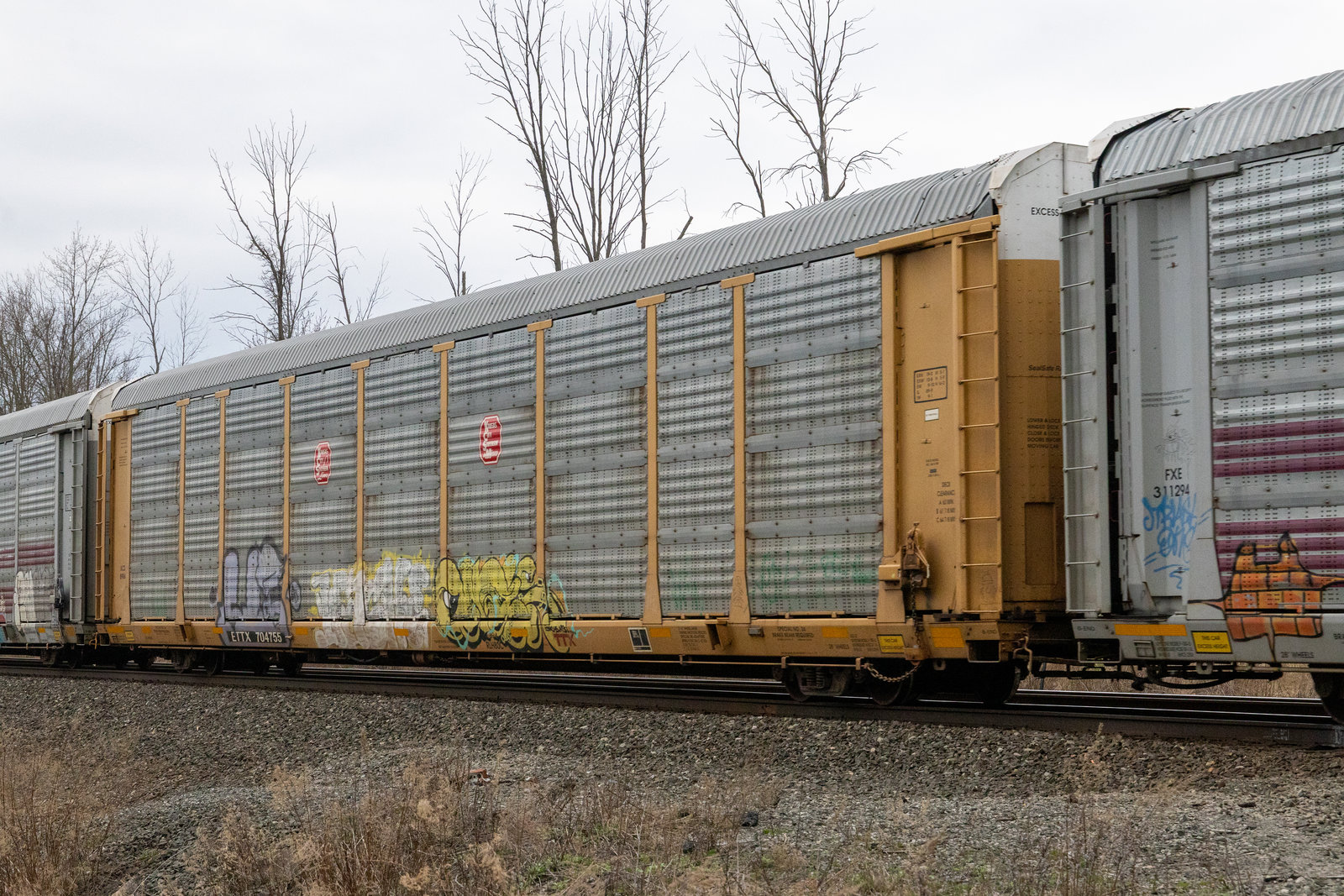 ETTX 704755