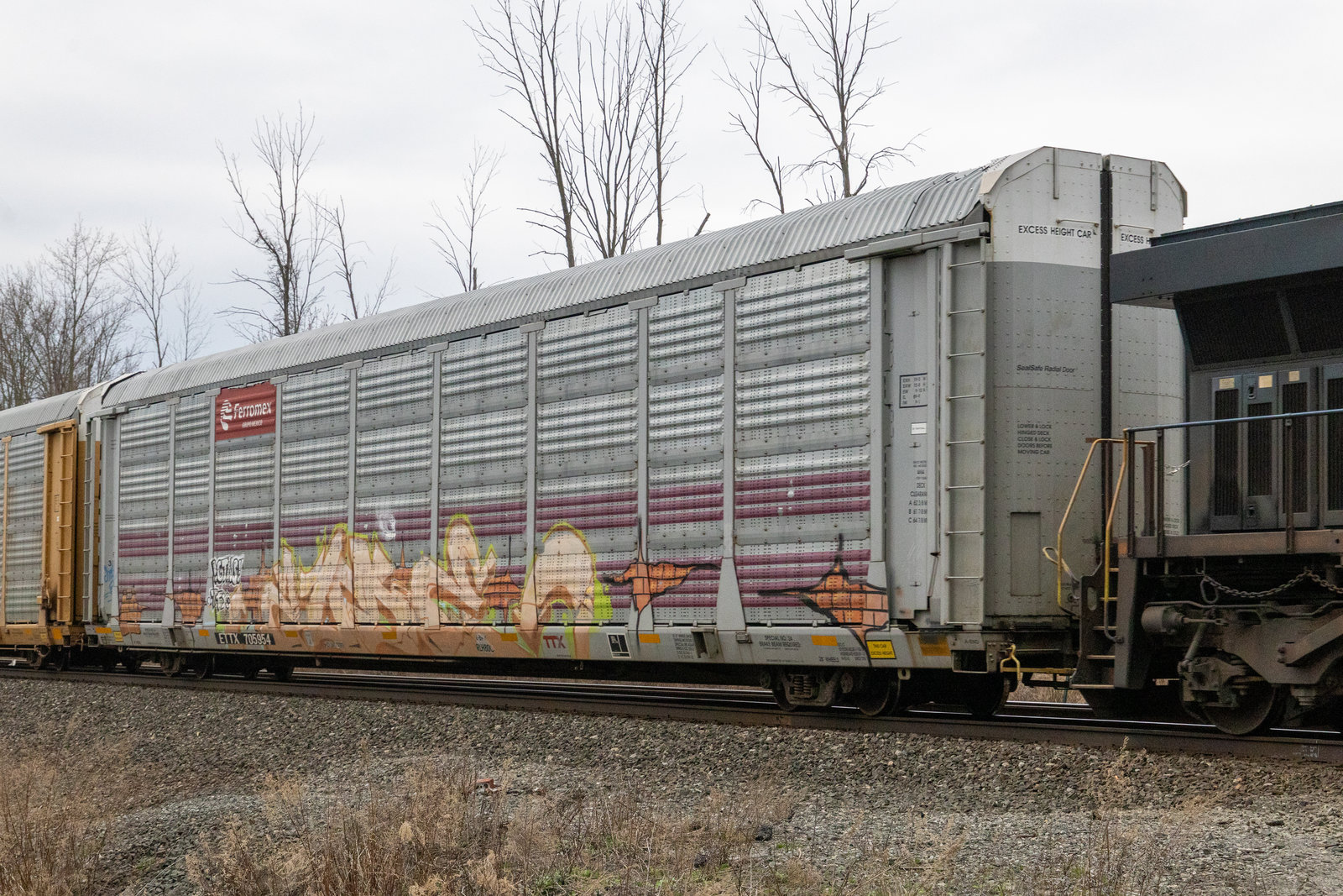 ETTX 705954