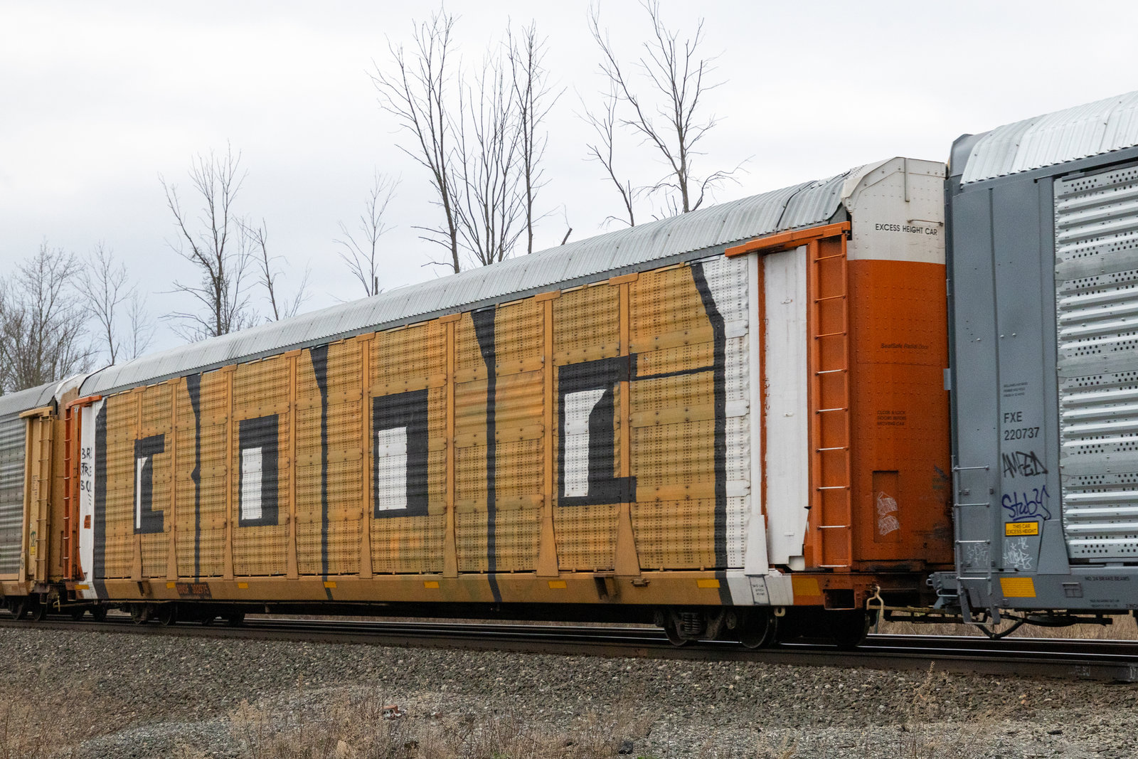 BNSF 302975