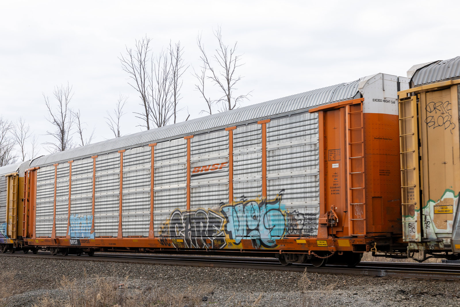 BNSF 300920