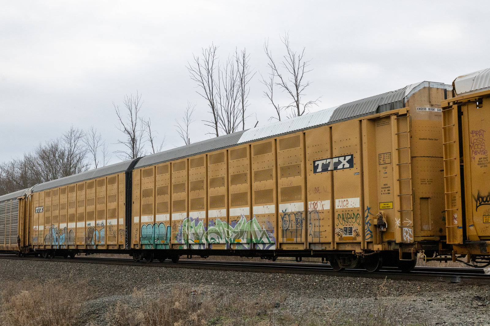 BTTX 880160