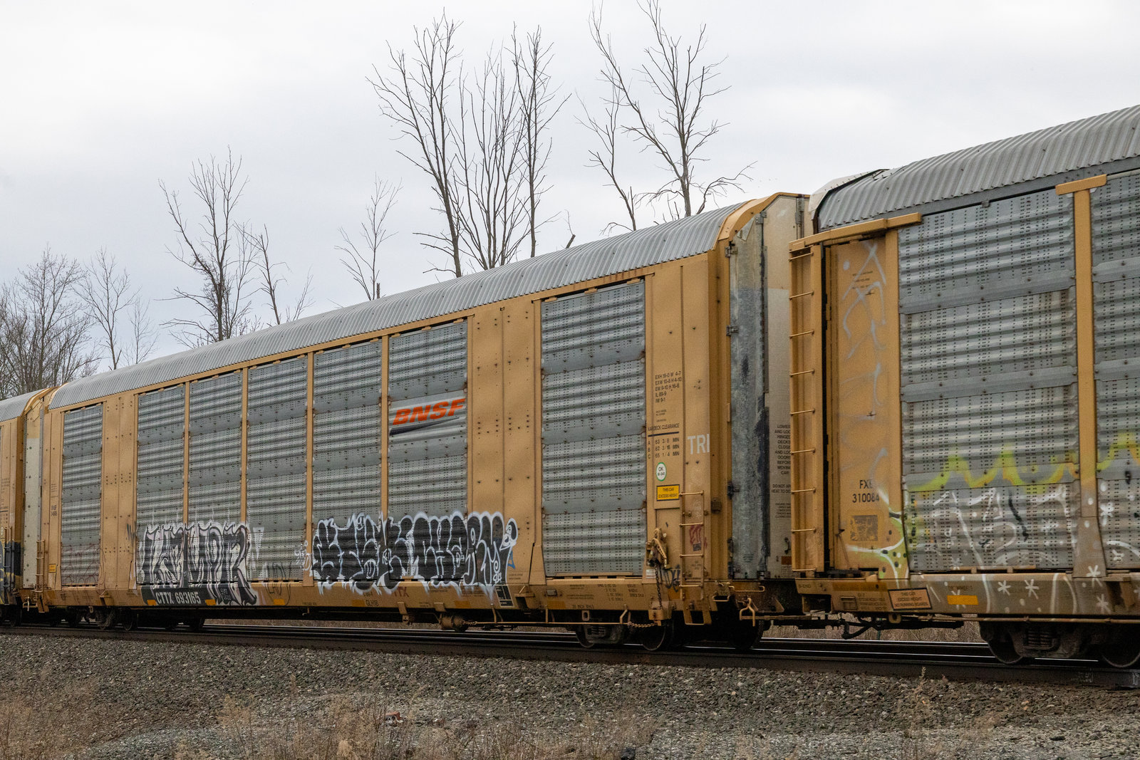 CTTX 693165