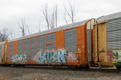 CTTX 693988