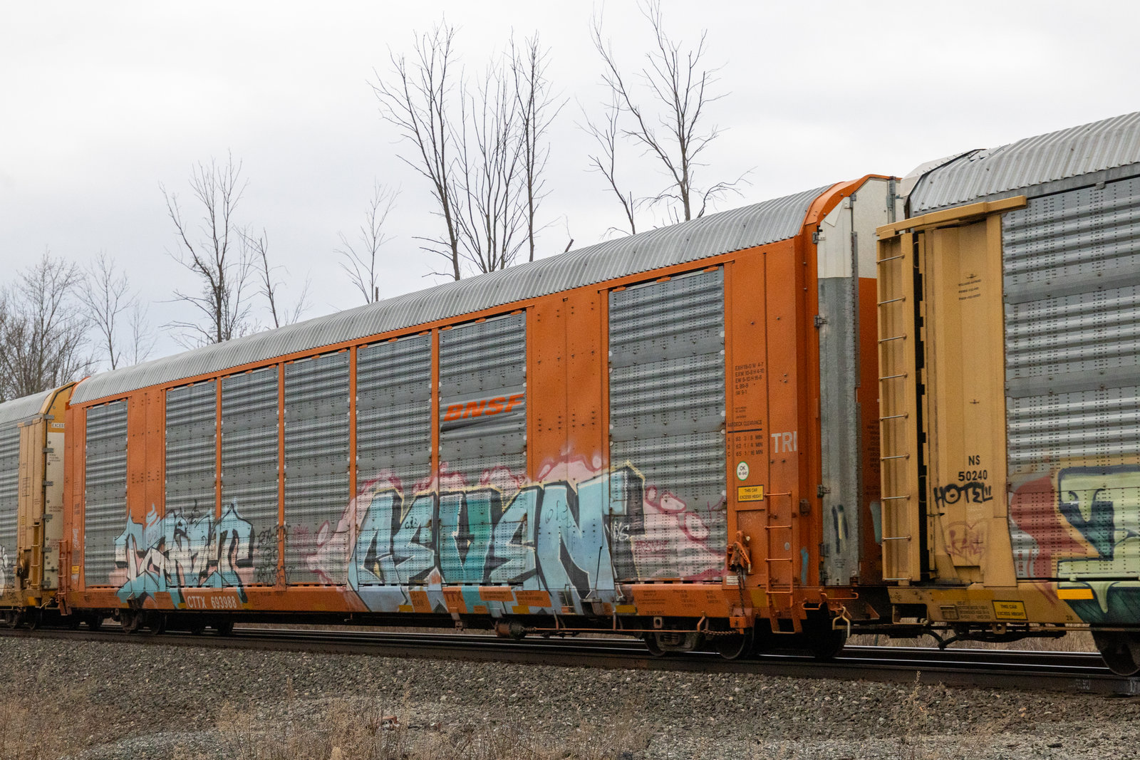 CTTX 693988