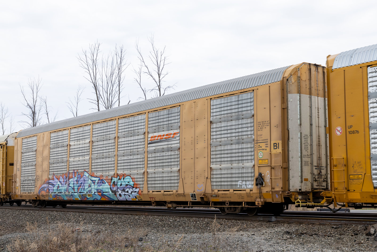 CTTX 691315