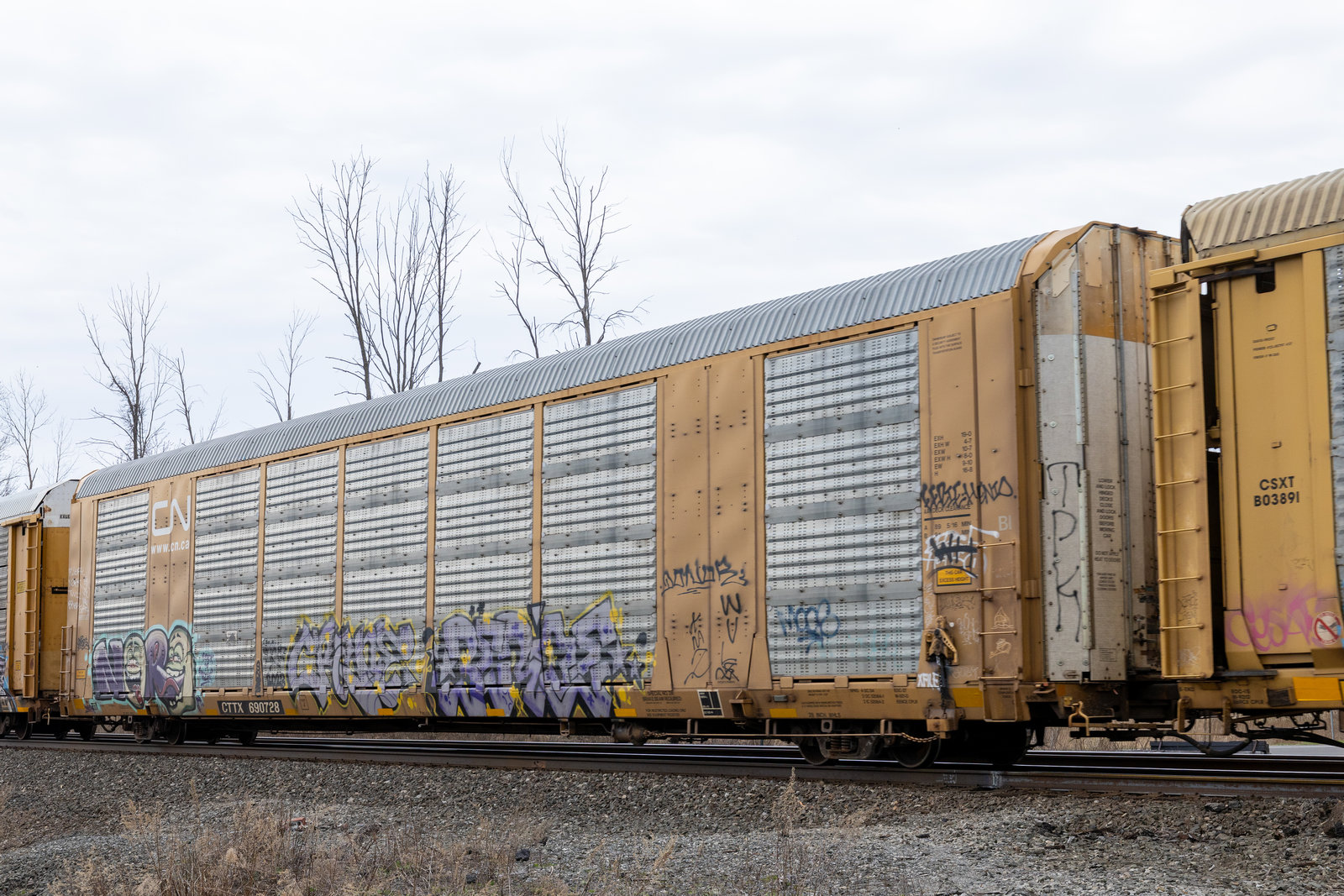 CTTX 690728