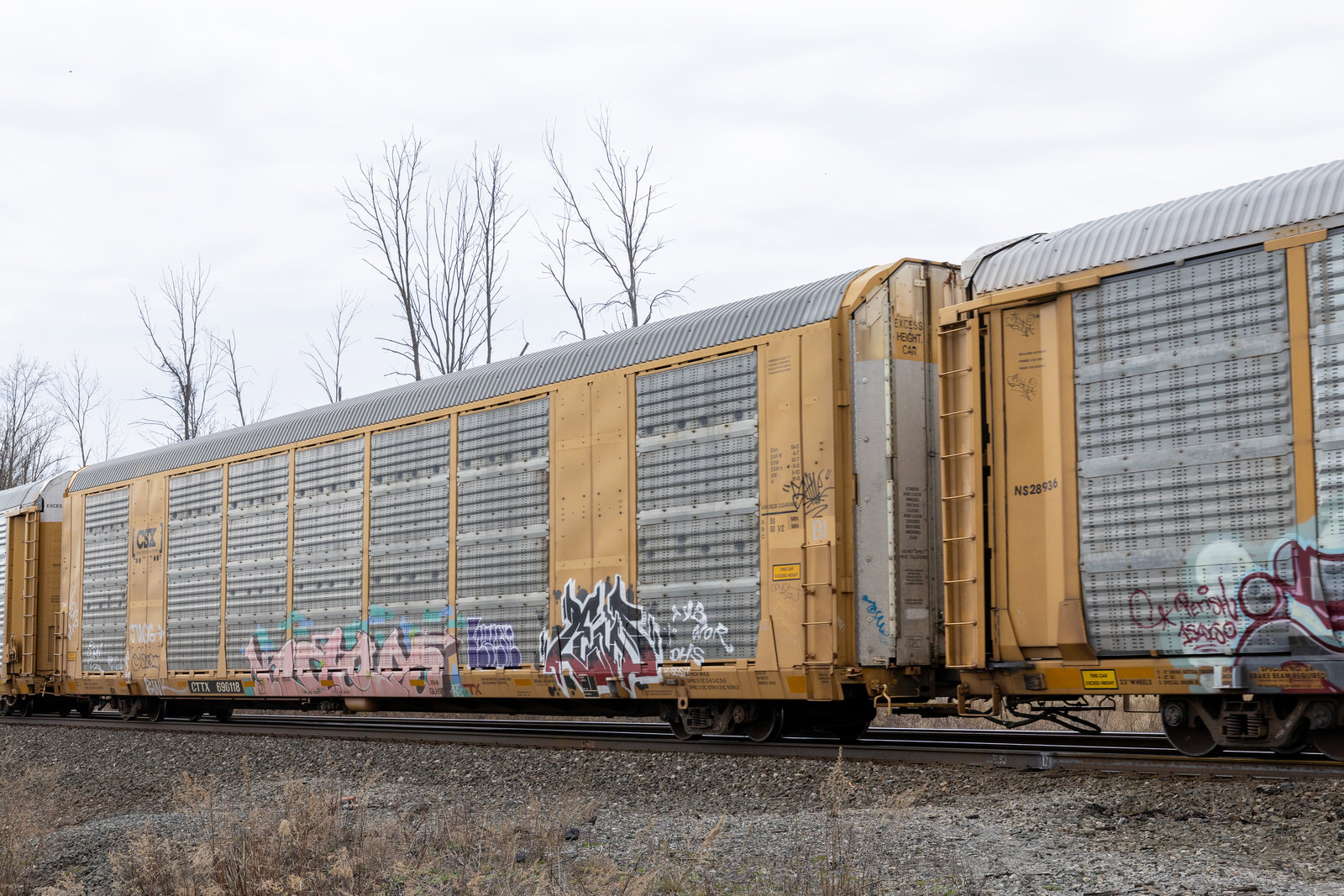 CTTX 690118