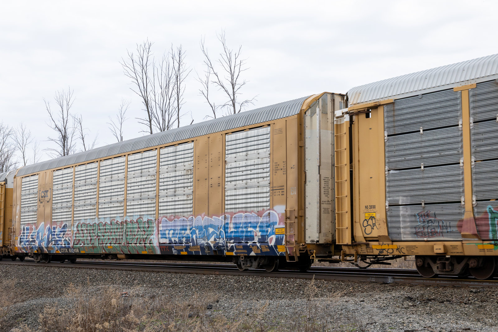 CTTX 692456