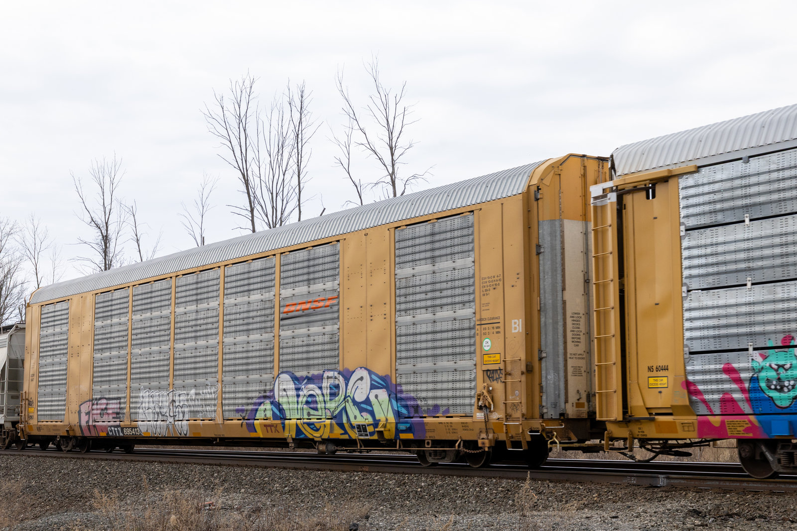 CTTX 695413