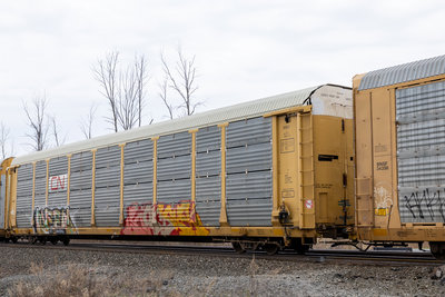 GTW 504295