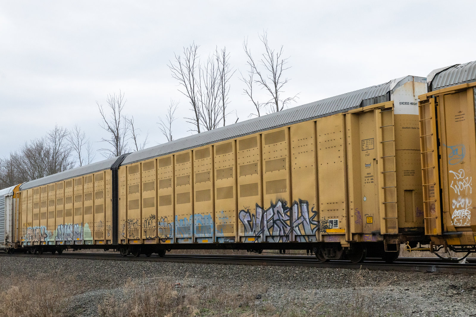 NOKL 798298