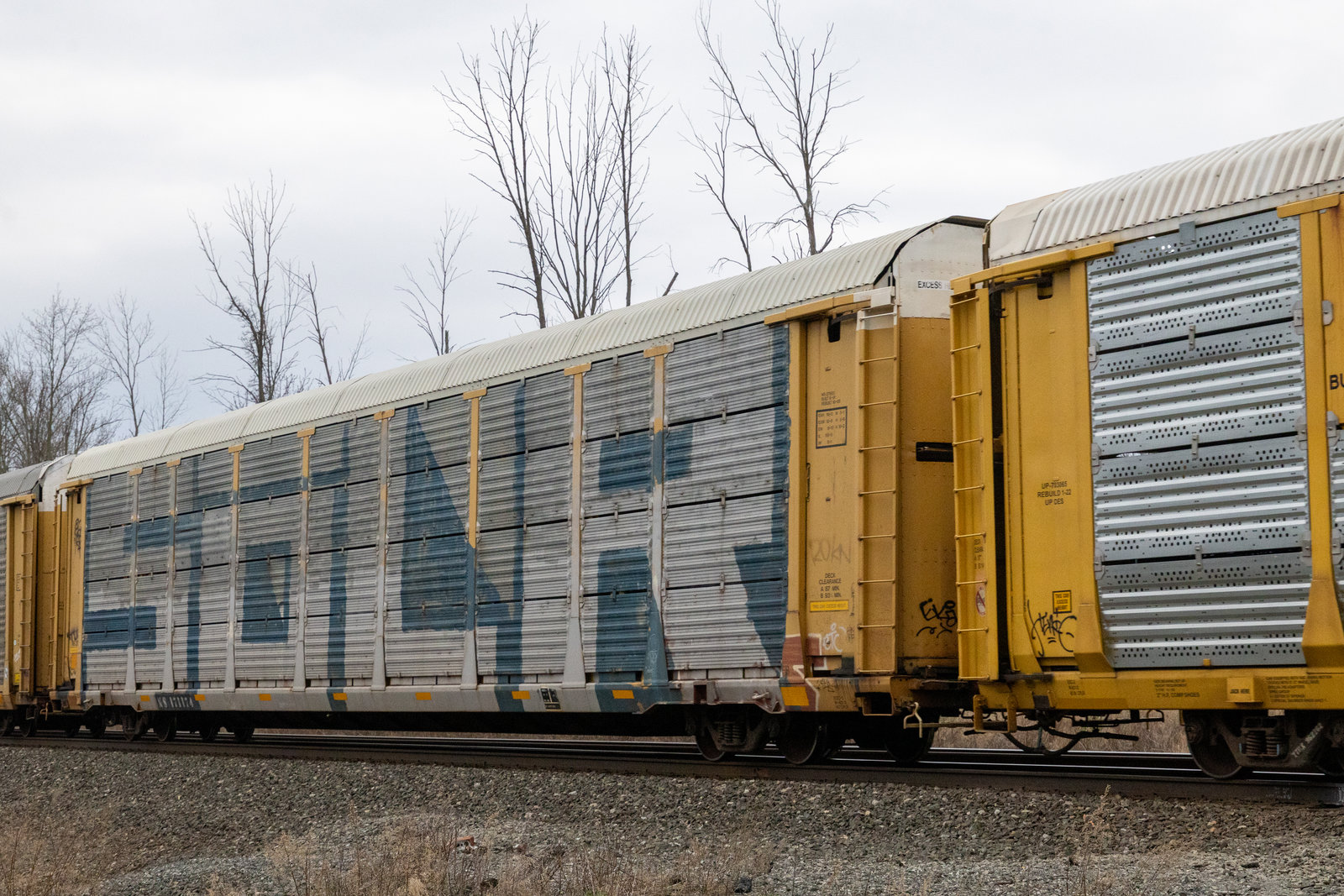 NS 171174