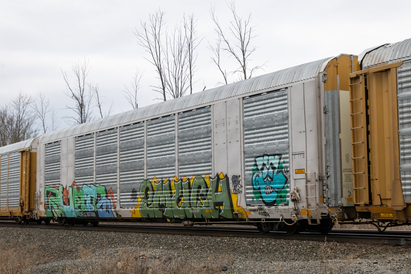 SFLC 307398