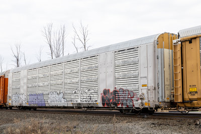 SFLC 307764