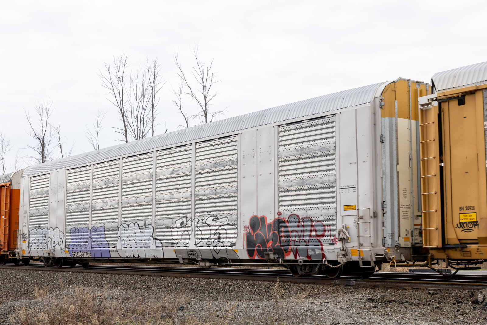 SFLC 307764
